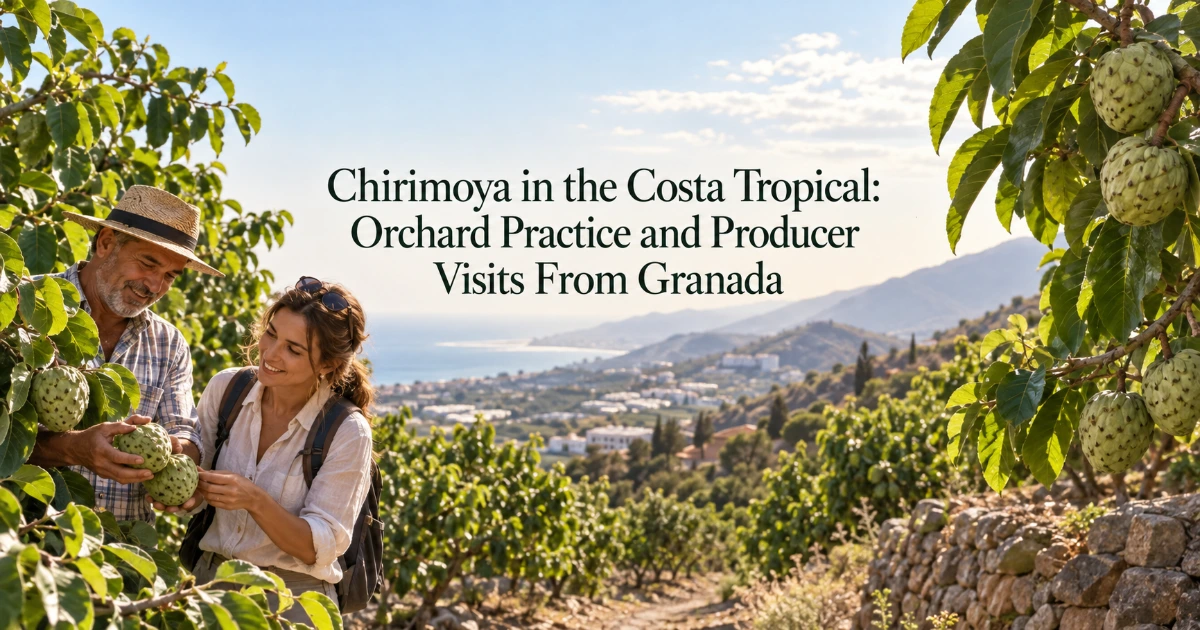Granada — Chirimoya in the Costa Tropical: Orchard Practice and Producer Visits From Granada
