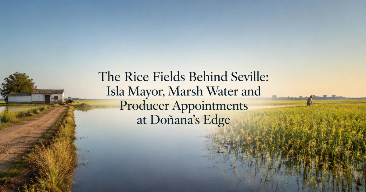 seville — The Rice Fields Behind Seville: Isla Mayor, Marsh Water and Producer Appointments at Doñana’s Edge