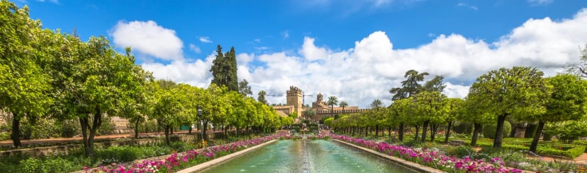 Cordoba Mobile Header