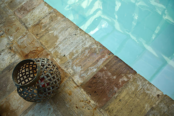 Sierra de Cardeña y Montoro wildlife watching