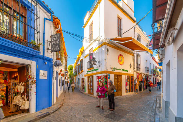 Cordoba patio flower courtyard 2