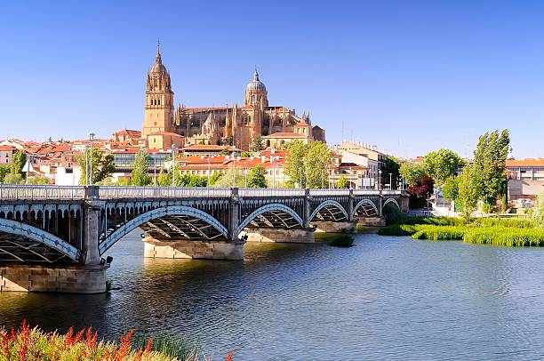 Salamanca cathedral and bridge 2