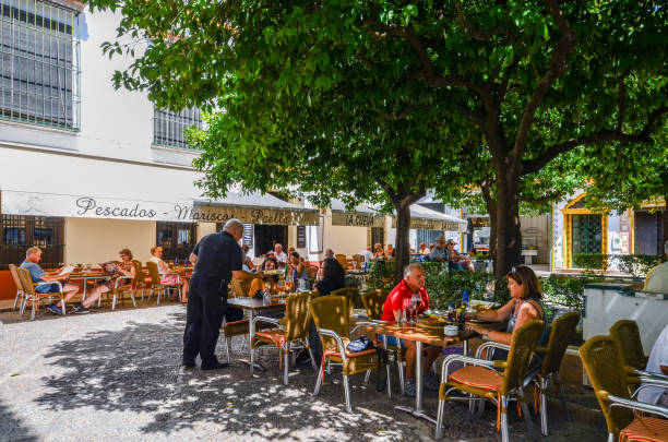 Private guide planning a tailored Seville day in Santa Cruz