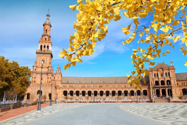 Metropol Parasol light show (seasonal)